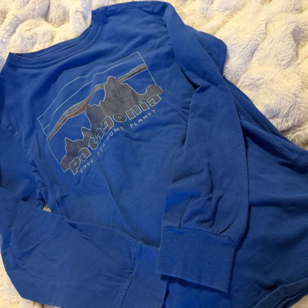 Patagonia Blue Graphic Tee